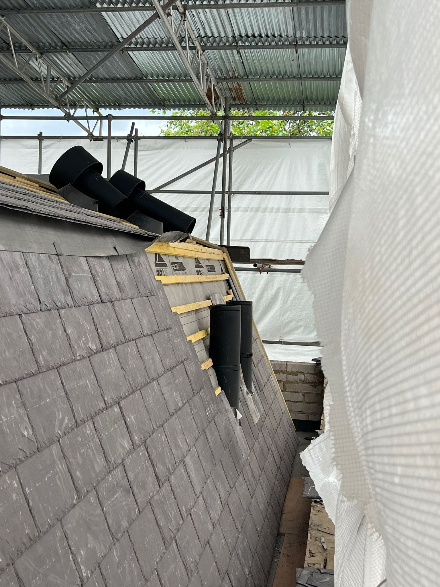 WhatsApp Image 2023-11-02 at 12.36.44 (5)