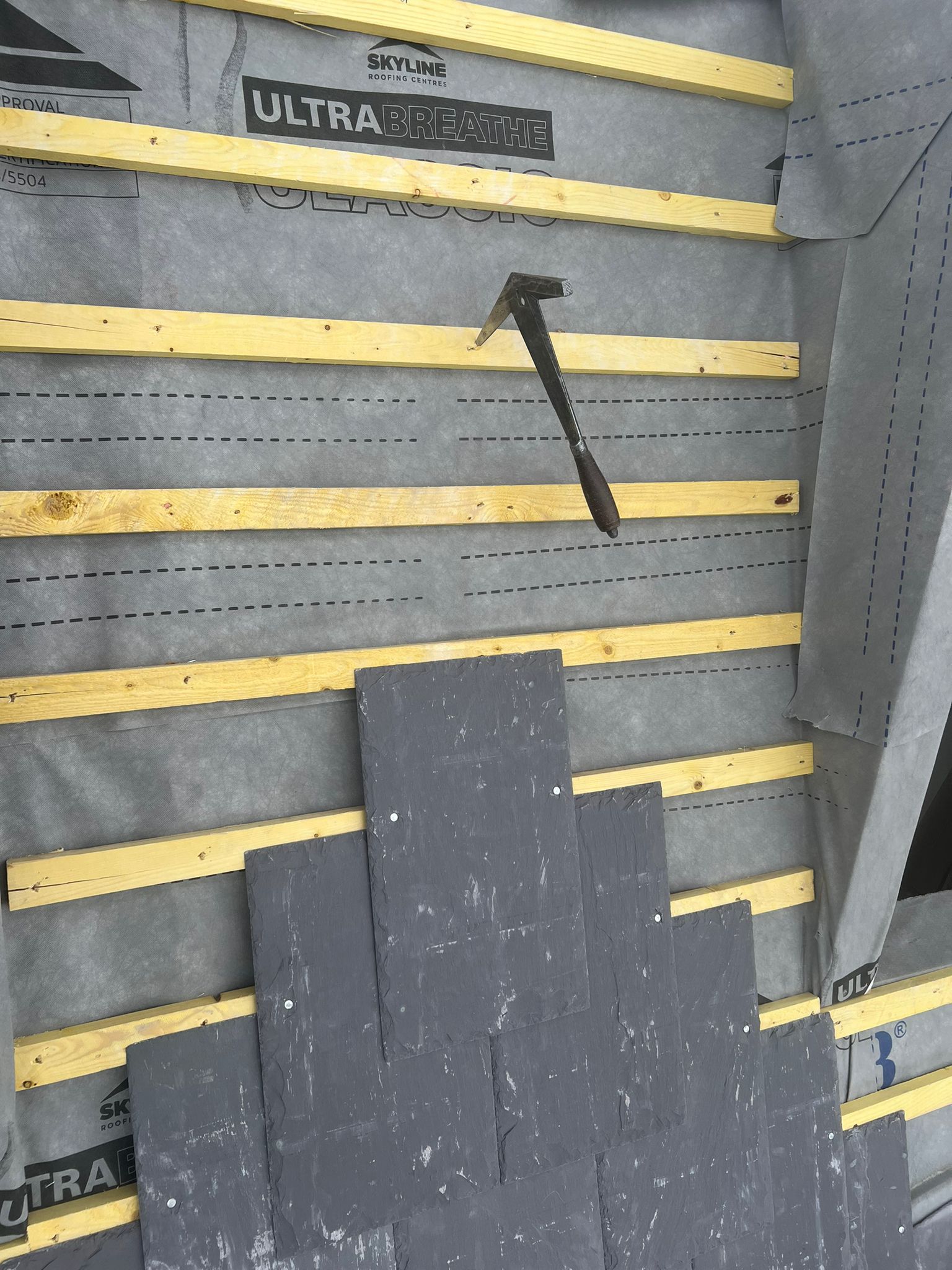 WhatsApp Image 2023-11-02 at 12.36.45 (1)